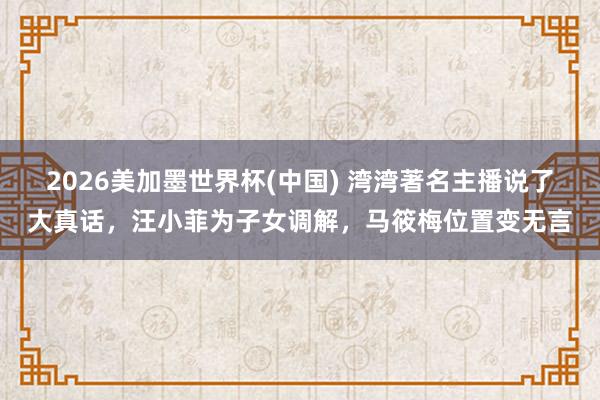 2026美加墨世界杯(中國) 灣灣著名主播說了大真話，汪小菲為子女調(diào)解，馬筱梅位置變無言
