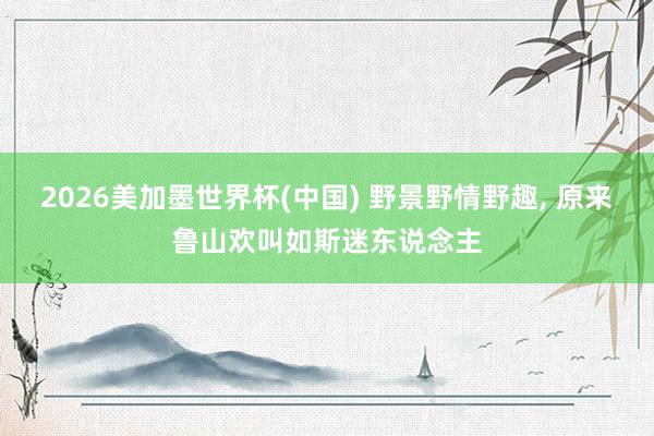 2026美加墨世界杯(中國(guó)) 野景野情野趣， 原來(lái)魯山歡叫如斯迷東說(shuō)念主