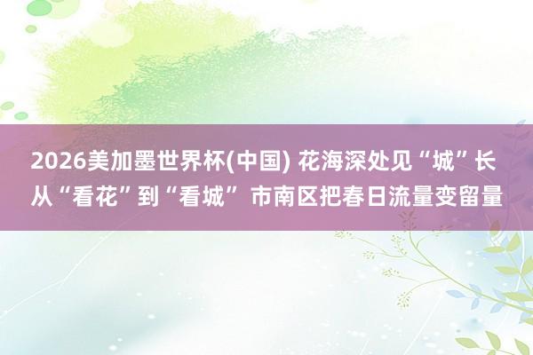 2026美加墨世界杯(中國) 花海深處見“城”長 從“看花”到“看城” 市南區(qū)把春日流量變留量