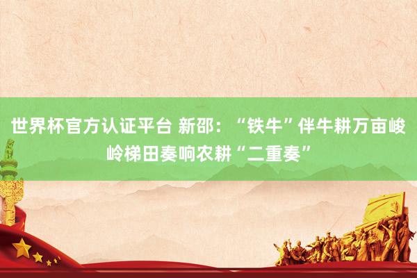 世界杯官方認證平臺 新邵:“鐵牛”伴牛耕萬畝峻嶺梯田奏響農耕“二重奏”