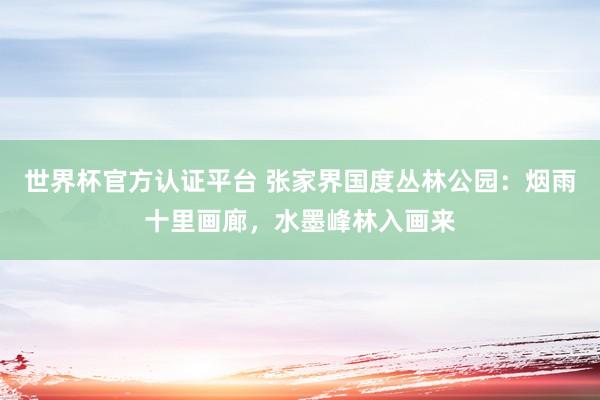 世界杯官方認證平臺 張家界國度叢林公園:煙雨十里畫廊,水墨峰林入畫來