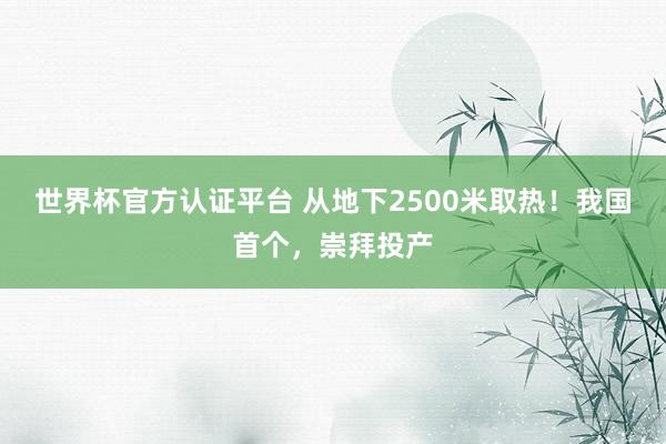 世界杯官方認(rèn)證平臺(tái) 從地下2500米取熱！我國首個(gè)，崇拜投產(chǎn)