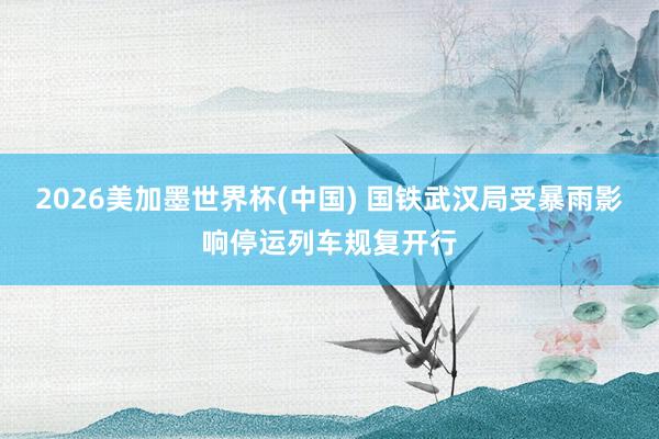 2026美加墨世界杯(中國(guó)) 國(guó)鐵武漢局受暴雨影響停運(yùn)列車規(guī)復(fù)開(kāi)行