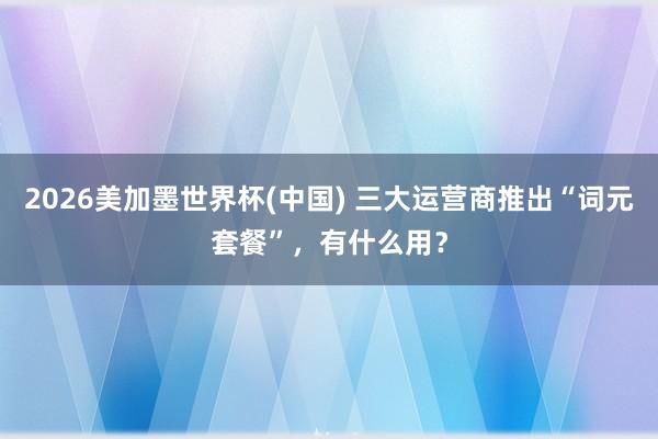 2026美加墨世界杯(中國) 三大運營商推出“詞元套餐”，有什么用？