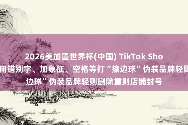 2026美加墨世界杯(中國) TikTok Shop東南亞新規來了， 用錯別字、加象征、空格等打“擦邊球”偽裝品牌輕則刪除重則店鋪封號