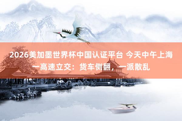 2026美加墨世界杯中國(guó)認(rèn)證平臺(tái) 今天中午上海一高速立交：貨車側(cè)翻，一派散亂