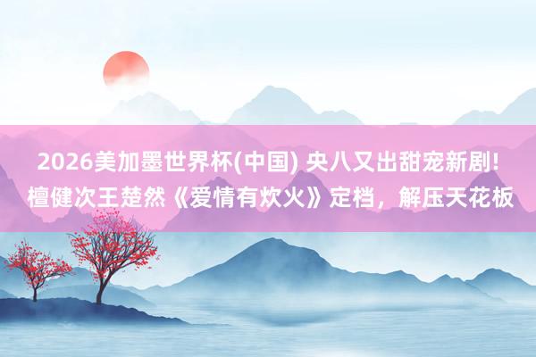 2026美加墨世界杯(中國) 央八又出甜寵新劇! 檀健次王楚然《愛情有炊火》定檔，解壓天花板