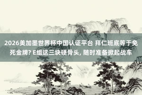 2026美加墨世界杯中國認證平臺 拜仁班底等于免死金牌? E組這三塊硬骨頭， 隨時準備掀起戰車
