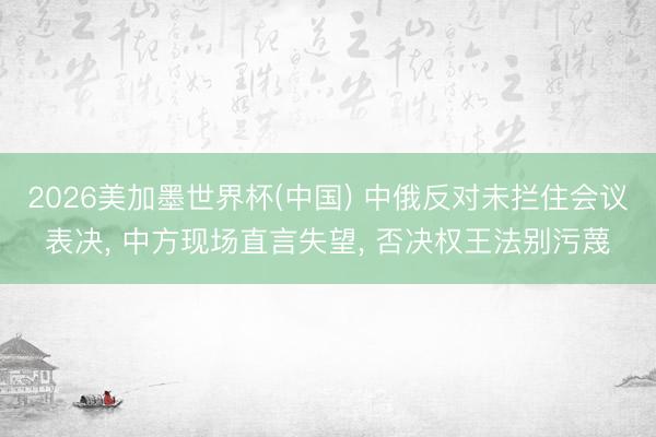 2026美加墨世界杯(中國) 中俄反對未攔住會議表決， 中方現場直言失望， 否決權王法別污蔑