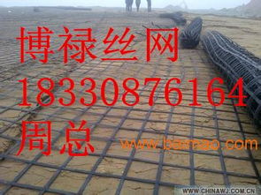 鋼塑土工格柵,鋼塑土工格柵生產(chǎn)廠家,鋼塑土工格柵價格